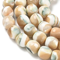 Natural Seashell Shell Beads Strands&nbsp;SH-CBAFEDD-01B