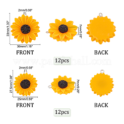 24Pcs 2 Styles Opaque Resin Pendants&nbsp;FIND-PH0005-97