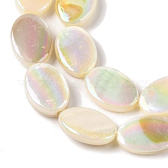 Natural Freshwater Shell Beads Strands&nbsp;BSHE-H018-06