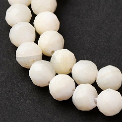 Shell Beads Strands&nbsp;SSHEL-E571-38-4mm-01
