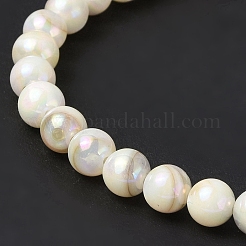 Natural Freshwater Shell Beads Strands&nbsp;SHEL-C003-10