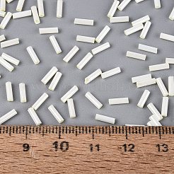 FGB Grade A Glass Round Bugle Beads&nbsp;SEED-Q040-06A-03