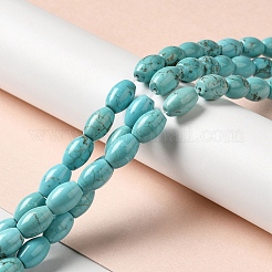 Natural Howlite Beads Strands&nbsp;G-C025-08