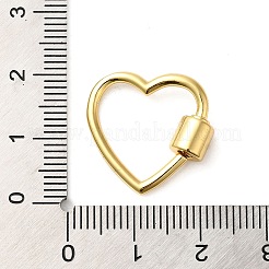 Rack Plating Brass Screw Carabiner Lock Charms&nbsp;KK-D047-09G