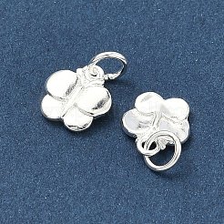 925 Sterling Silver Charms&nbsp;STER-A050-03C-S