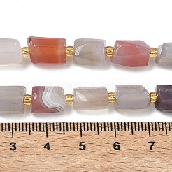 Natural Botswana Agate Beads Strands&nbsp;G-C270-K16