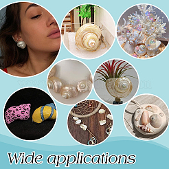 15Pcs Mini Natural Spiral Shell Beads&nbsp;FIND-PH0026-80