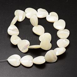 Natural Trochid Shell/Trochus Shell Beads Strands&nbsp;SSHEL-K012-02