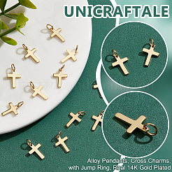12Pcs Brass Pendants&nbsp;FIND-UN0006-91