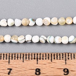 Luminous Natural Seashell Shell Beads Strands&nbsp;SSHEL-N040-05