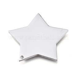 Tarnish Resistant 304 Stainless Steel Pendants&nbsp;LS-STAS-L238-108B-P