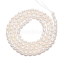Natural Cultured Freshwater Pearl Beads Strands&nbsp;PEAR-N024-02-4AB