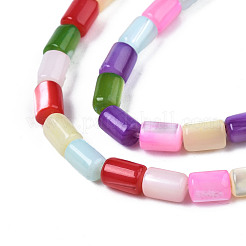 Natural Trochid  Shell Beads Strands&nbsp;SHEL-S278-069