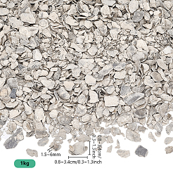 1000g Oyster Shells for Home Vase Filler&nbsp;DIY-PH0034-80