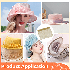 Sinamay Fabric for Millinery&nbsp;DIY-WH0888-606B