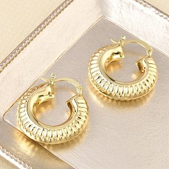 Brass Hoop Earrings for Women&nbsp;KK-CBAD851-40G