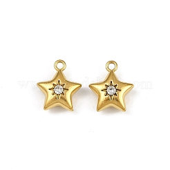 304 Stainless Steel Charms&nbsp;STAS-I342-10G