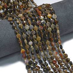 Natural Petrified Wood Beads Strands&nbsp;G-K389-B33-01