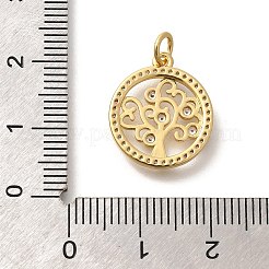 Rack Plating Brass Micro Pave Cubic Zirconia Pendants&nbsp;KK-M296-09G