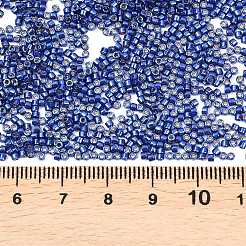 MIYUKI Delica Beads&nbsp;X-SEED-J020-DB2511