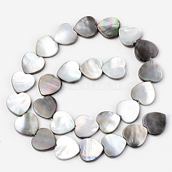 Natural Black Lip Shell Beads Strands&nbsp;SSHEL-Q298-11A