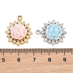 Alloy Resin Pendants&nbsp;RE-CBA4818-04