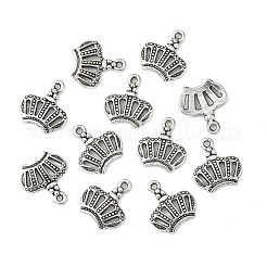Tibetan Style Alloy Charms&nbsp;TIBEP-S029-AS-LF