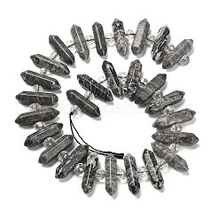 Natural Map Stone Double Terminated Point Beads Strands&nbsp;G-H069-B09-01