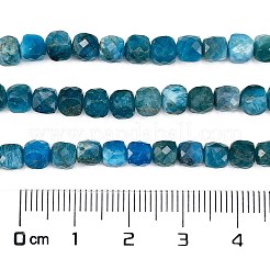 Natural Apatite Beads Strands&nbsp;G-E560-A07-4mm-A