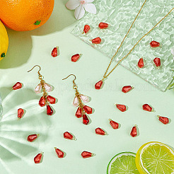 24Pcs Transparent Resin Pendants&nbsp;RESI-ME0001-20B
