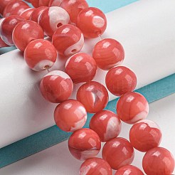 Dyed Natural Trochus Shell Beads Strands&nbsp;BSHE-G034-25C