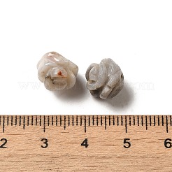 Natural Crazy Lace Agate Carved Flower Scattered Beads&nbsp;G-O156-B-23