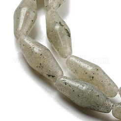 Natural Labradorite Beads Strands&nbsp;G-A223-A04-01