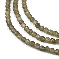 Natural Labradorite Beads Strands&nbsp;G-M438-A01-02
