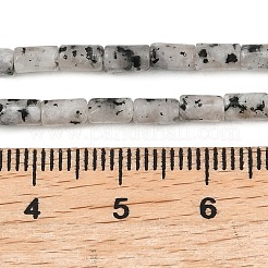 Natural Seame Jasper Beads Strands&nbsp;G-P600-B11-01