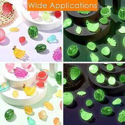 50Pcs 25 Styles Luminous Resin Dollhouse Decorations&nbsp;FIND-CJ0003-51
