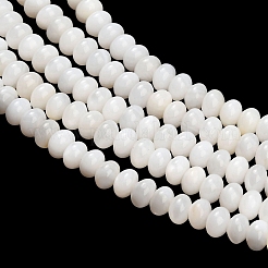 Natural Freshwater Shell Beads Strands&nbsp;SHEL-C010-04B-02