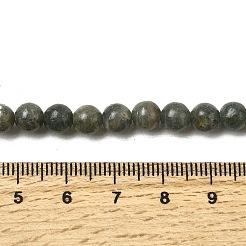 Natural Green Apatite Beads Strands&nbsp;G-K350-C04-6mm