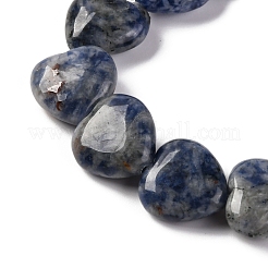 Natural Blue Spot Jasper Beads Strands&nbsp;G-I372-A13-02