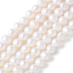 Natural Cultured Freshwater Pearl Beads Strands&nbsp;PEAR-I007-07O-06A