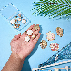 20Pcs 10 Styles Electroplated Natural Mixed Shell Pendants&nbsp;SHEL-SC0002-09
