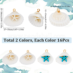 32Pcs 2 Colors Summer Beach Natural Shell Pendants&nbsp;FIND-SC0012-35