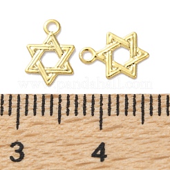 Brass Charms&nbsp;KK-F880-09G