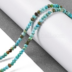 Natural Howlite Beads Strands&nbsp;G-H025-03A-01