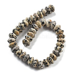 Natural Dalmatian Jasper Beads Strands&nbsp;G-P559-A01-02