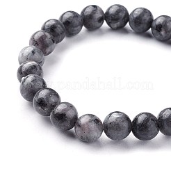 Natural Larvikite Beads Stretch Bracelets&nbsp;BJEW-F380-01-B14