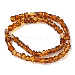 Natural Amber Beads Strands&nbsp;G-K387-E01-01