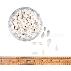 Natural Trumpet Shell Beads&nbsp;BSHE-KS0001-01