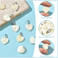 10Pcs Natural Trochid Shell/Trochus Shell Pendants&nbsp;SSHEL-YW0001-15
