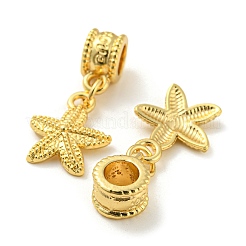 Tibetan Style Alloy European Dangle Charms&nbsp;PALLOY-F199-41G